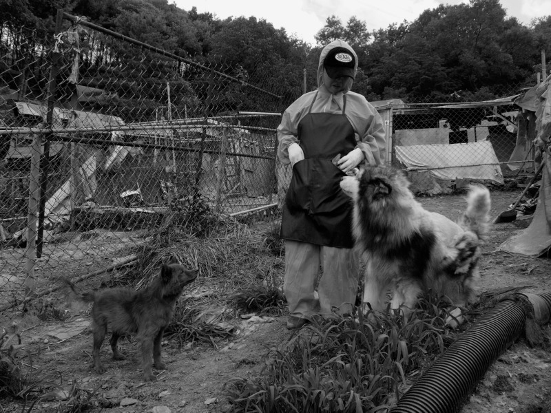 07_20120708_포천에 위치한 유기견보호소 애신동산에서 봉사자와 개_디지털카메라.jpg