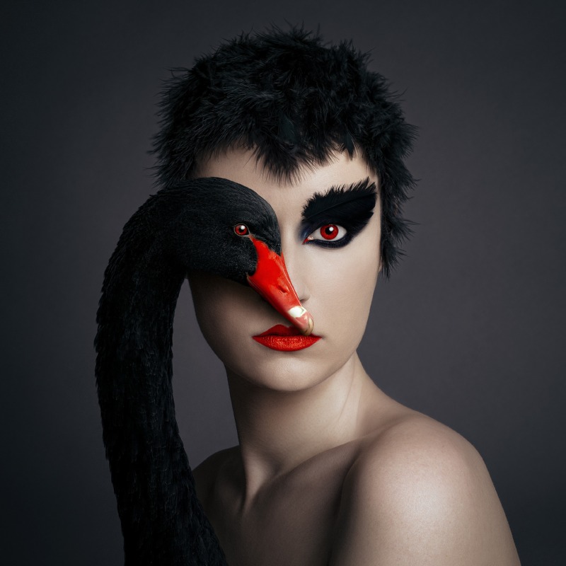 Black Swan, 울트라크롬 PRO 프린트, 150x150cm, 2021.jpg