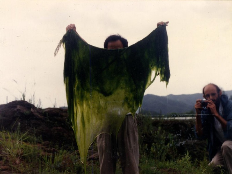 2_함께 배치_1991년 여름 금강에서의 국제자연미술전에서 임동식의 야외 퍼포먼스 ‘이끼’의 사진 (이미지 제공_서울시립미술아카이브).jpg